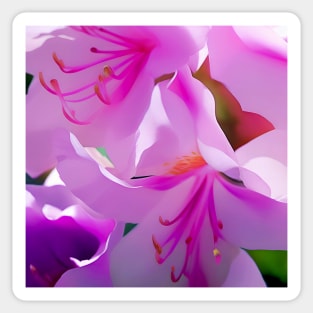 Catawba Rosebay Azaleas Sticker